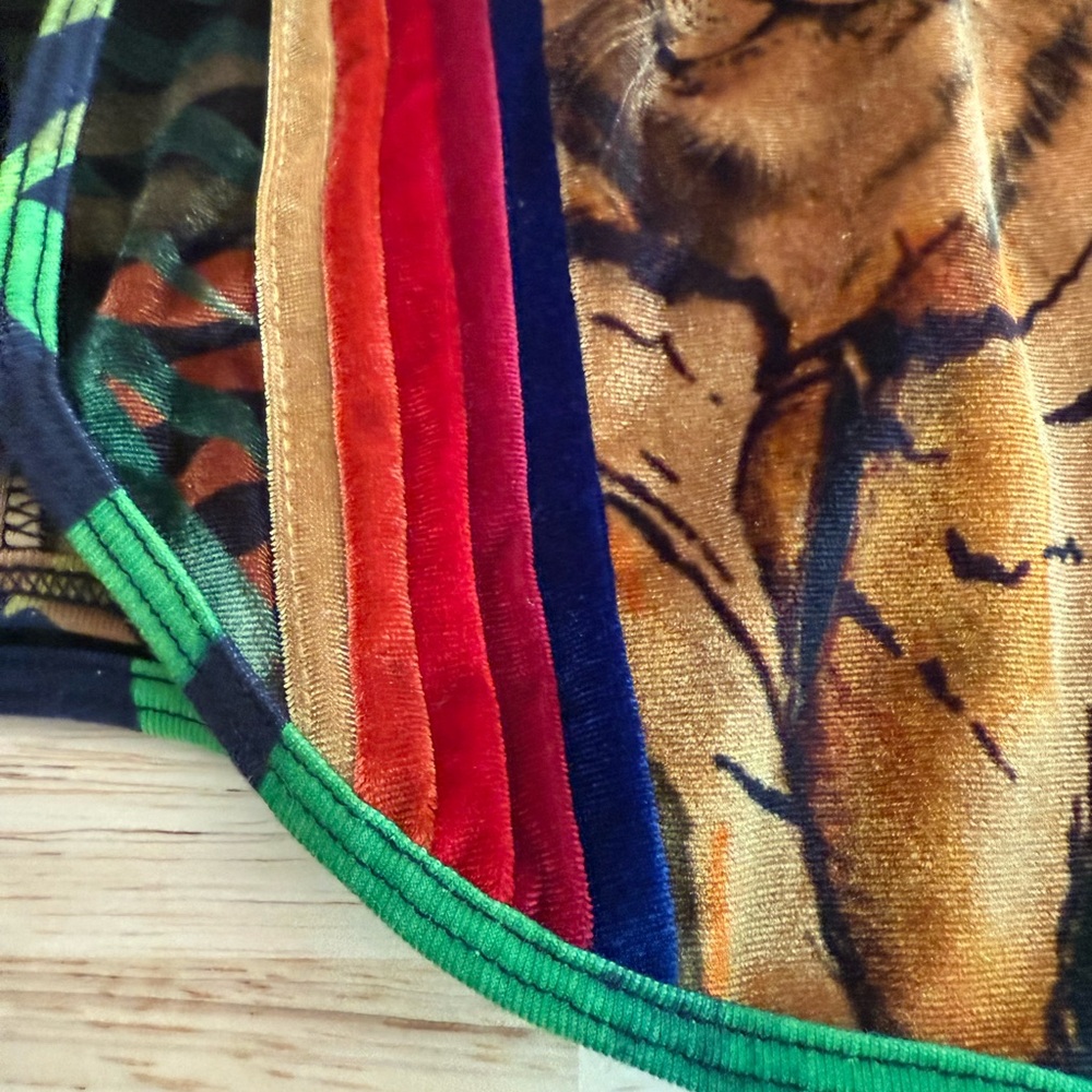 Aviator Nation Multicolor Tiger Print Athletic Shorts - Picture 4 of 7
